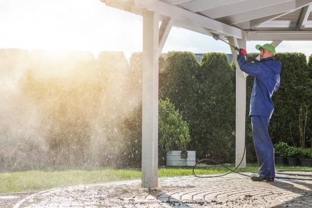 Best Driveway Pressure Washing  in USA